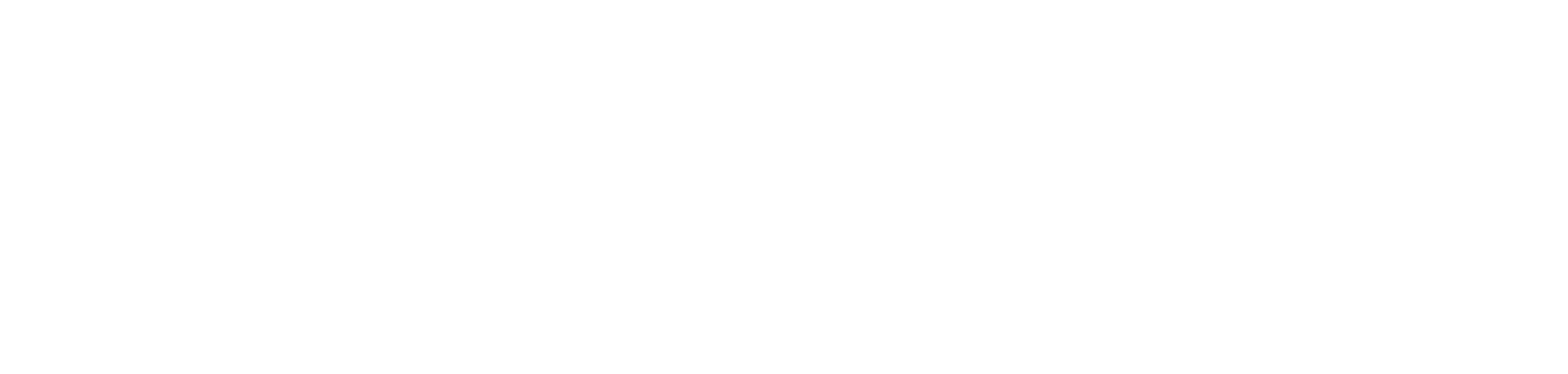 Continental Healthcare Experts